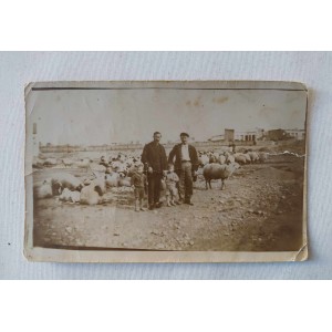Greek shepherds and boys in...