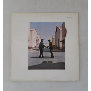 Pink Floyd Wish you were...