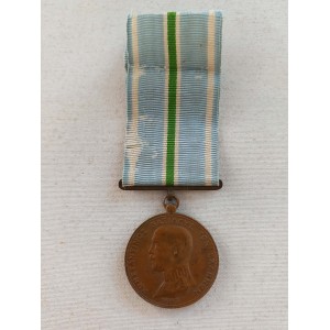 Medal for the...