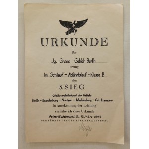 German WW2 sports award...