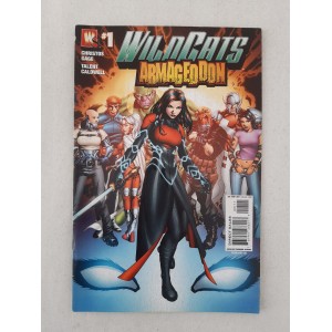 DC Comics 2008 Wildcats...