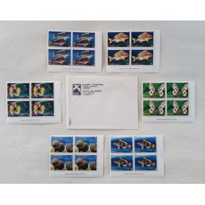 Butterflies - Shells -...