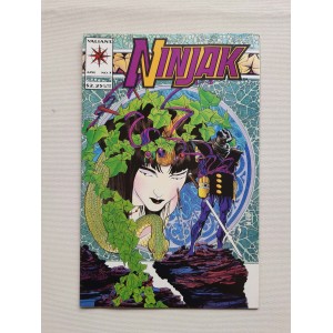 Valiant Comics 1994 Ninjak...