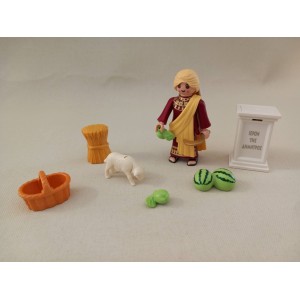 Playmobil  9526