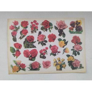 Decorative stickers 1960s -...
