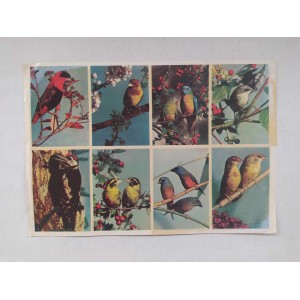 Decorative stickers 1960s -...